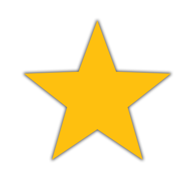 100% Rated Star