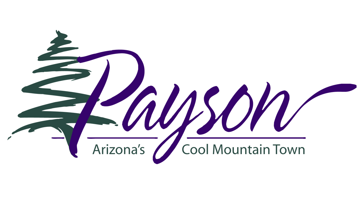 Client Results - Payson Logo